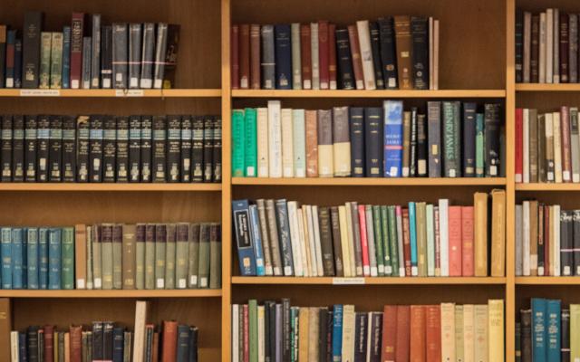 Faculty Library Shelves