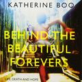 behind the beautiful forevers