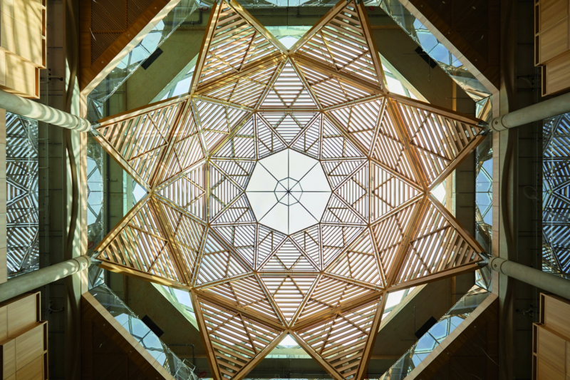 schwarzman dome