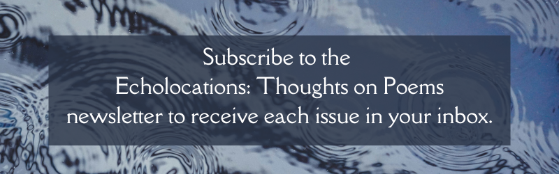 subscribe to the echolocations thoughts on poems newsletter to receive each issue in your inbox