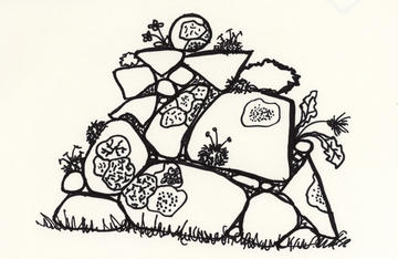 sketch of rocks with lichen on