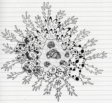 sketch of lichen