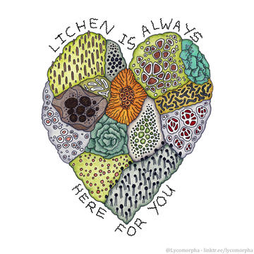 sketch of a heart with lichen doodles inside
