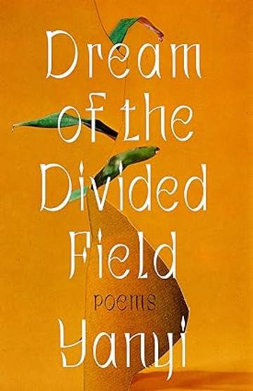 dream of the divided field