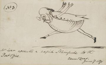 Edward Lear illustration