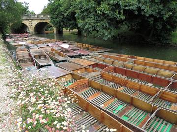 Punts on the river in Oxford