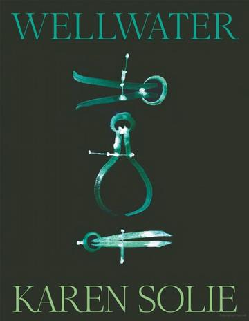 wellwater book cover
