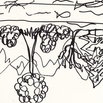 A terrible black and white doodle of a landscape with trees, mountains, and a river with fish in. It is barely recognisable and is upside down